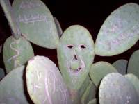 Avatar di Leotto24